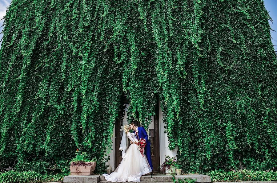 ช่างภาพงานแต่งงาน Alona Zaporozhec (alenazaporozhets) ภาพเมื่อ 1 ตุลาคม 2017