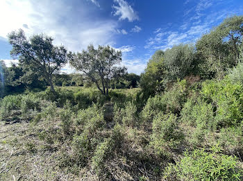 terrain à Figari (2A)