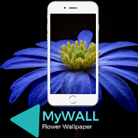 MyWALL Flower Wallpaper