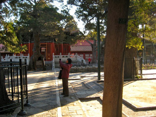 The Forbidden City - Beijing China 2008