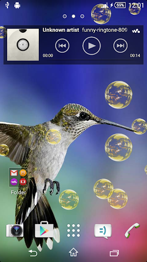 3D Bird Live Wallpaper