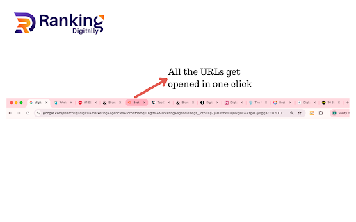 Ranking Digitally Link Extractor screenshot 5