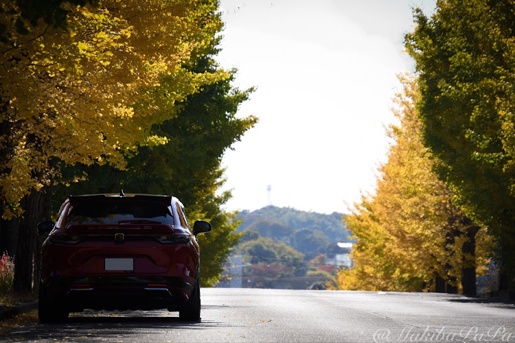 ヴェゼルのgoodgroove・千葉紅蓮隊・紅葉ドライブ・あな写・ニコンD7500に関するカスタム事例の投稿画像8枚目