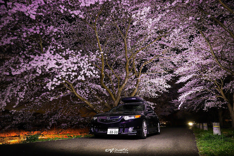 アコードツアラーのusdm・桜と愛車・桜とコラボ・夜桜に関するカスタム事例の投稿画像1枚目