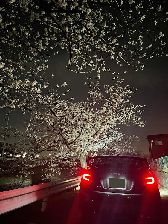 WRX S4のスタンド・洗車が趣味・夜桜コラボに関するカスタム事例の投稿画像2枚目