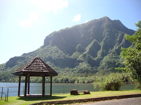 25 de julio, Moorea, ATV - El paraíso en la tierra, Polinesia Francesa (24)