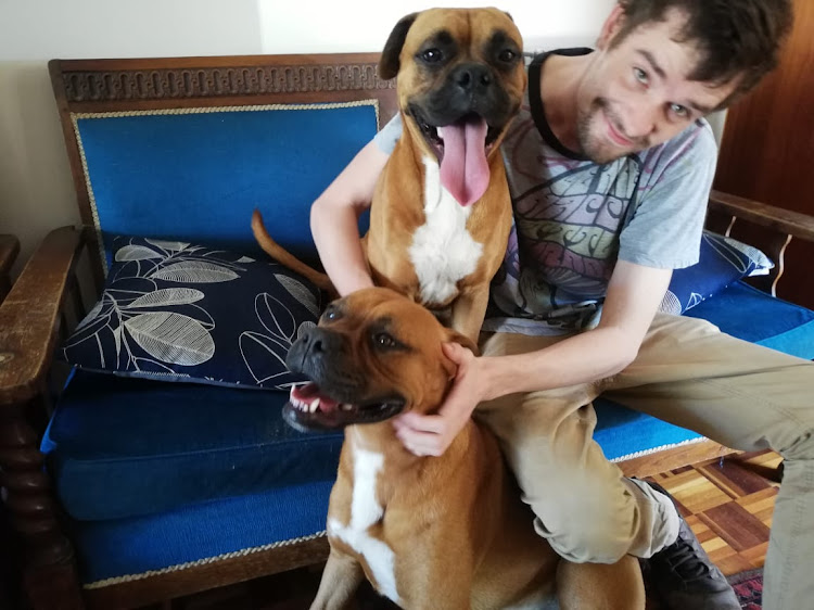 Frodo with his brother Boxer dog Sam and their owner Leon Kemp