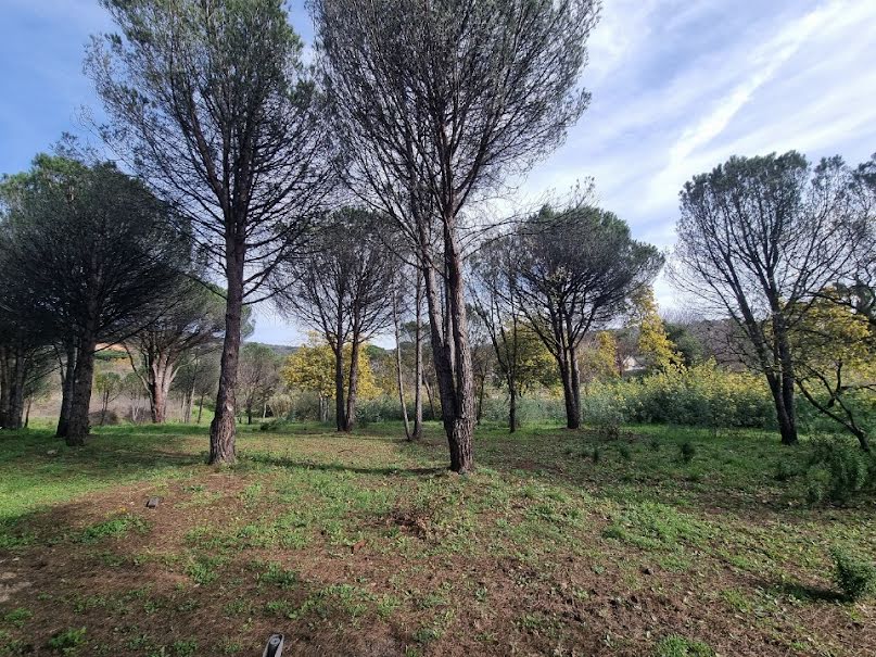 Vente terrain  1040 m² à Grimaud (83310), 510 000 €