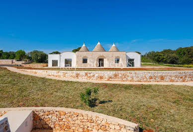 House with pool and garden 2