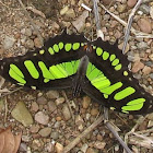 Malachite