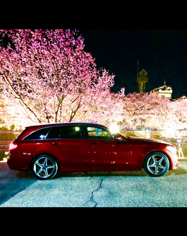Cクラス ステーションワゴンの掛川桜・ホワイトデー・誕生日でしたm(_ _)mに関するカスタム事例の投稿画像1枚目