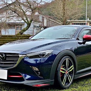 CX-3 DKEFW