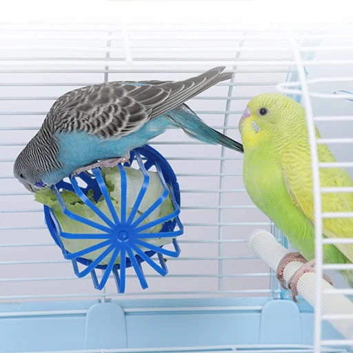 1PC Bird Parrot Feeder Cage Fruit Vegetable Holder Cage Access Hanging Basket Container Toy Pet Parrot Feeder Cage Suppl