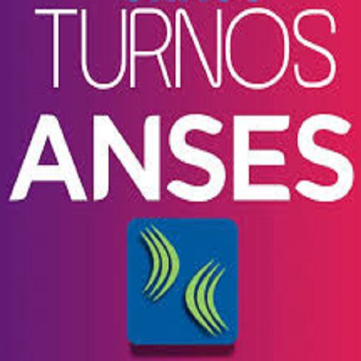 App Insights Turnos Anses Apptopia