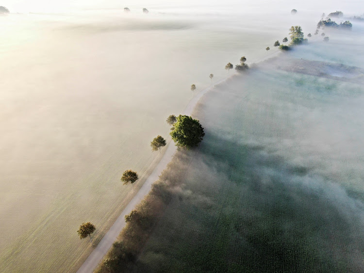 Fog surrounds a road in Kvaerndrup on the island of Funen, Denmark.