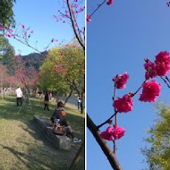 水岸森林會館