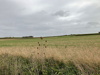 terrain à Tesson (17)