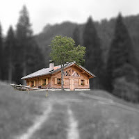 #Cottage trentino   di 