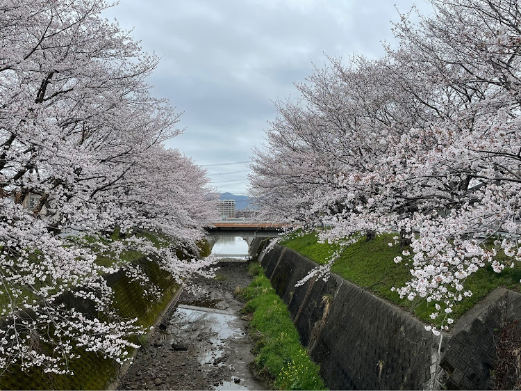 の投稿画像4枚目