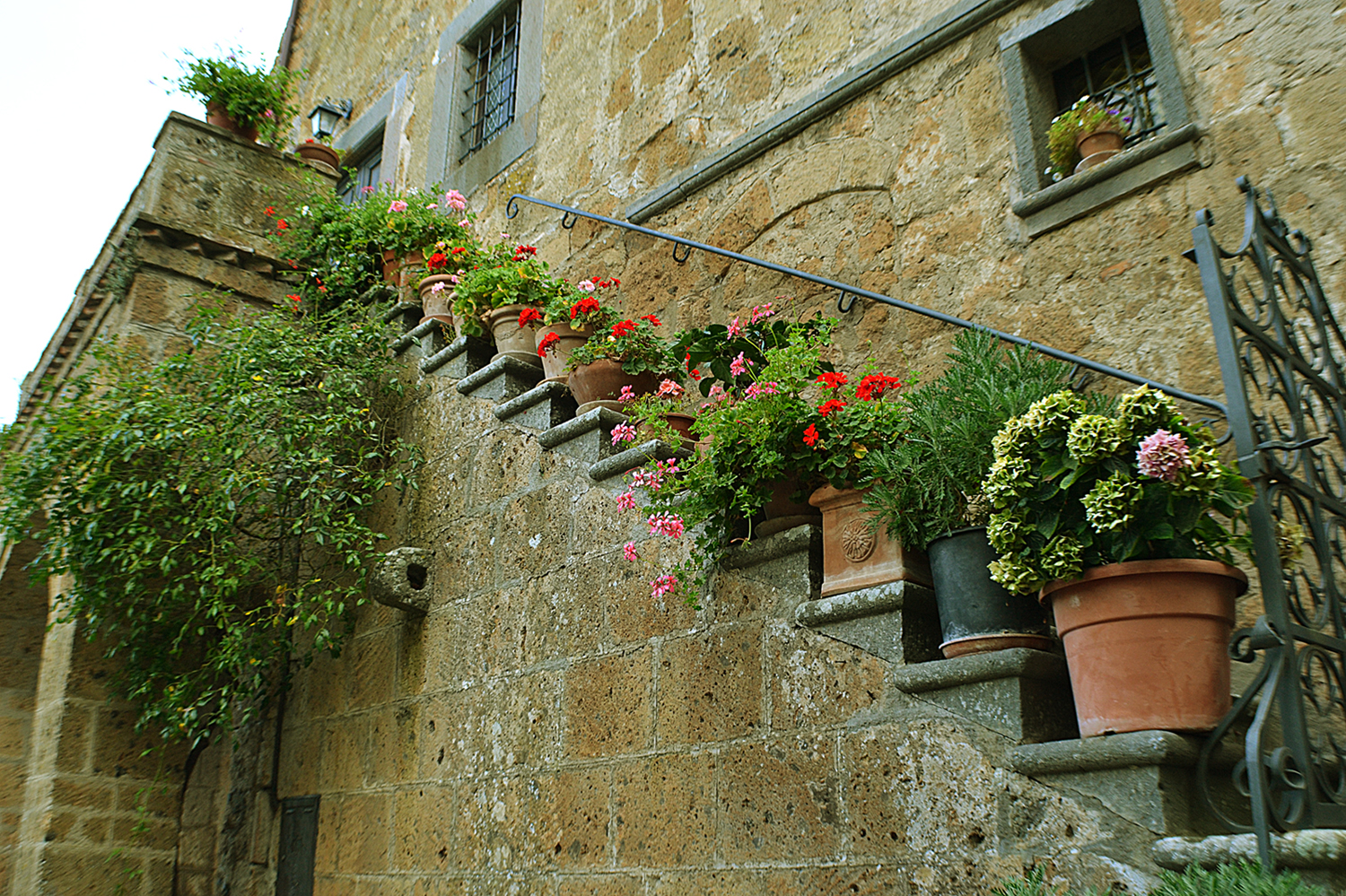 Scala di fiori  di utente cancellato