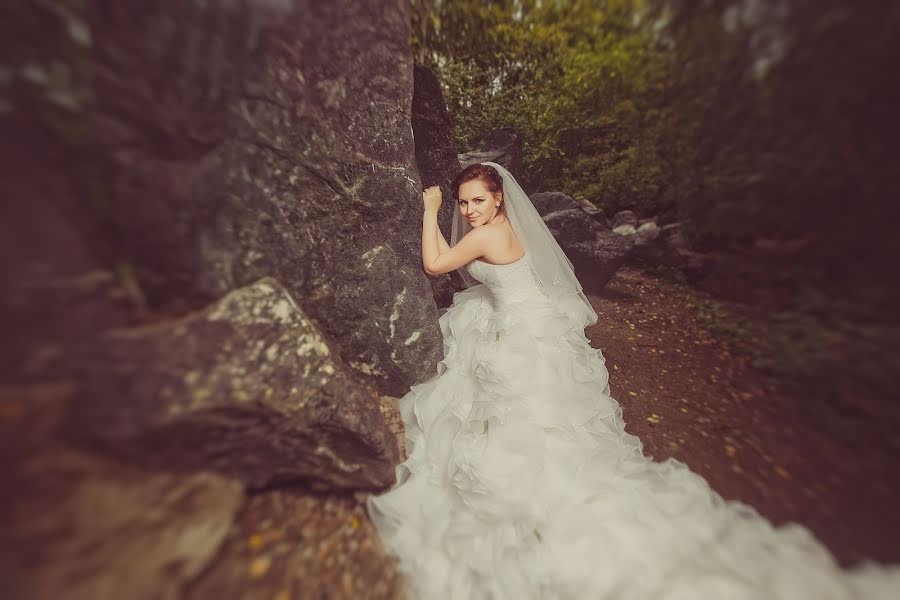 Photographe de mariage Semen Svetlyy (semsvetliy). Photo du 16 octobre 2013