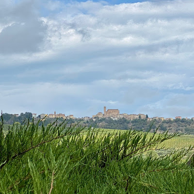 Borgo ameno,in lontananza di Paolo Annibali 