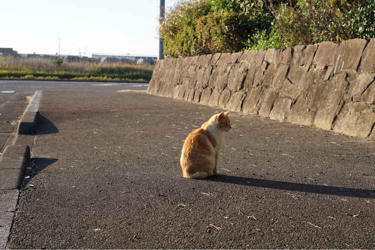 の投稿画像25枚目