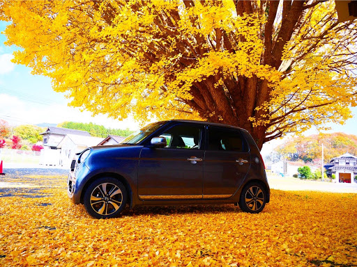 N One Jg1のホンダエヌワン ホンダエヌワンプレミアムツアラー イエローカーペット 紅葉ドライブに関するカスタム メンテナンスの投稿画像 車のカスタム情報はcartune