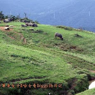 阿嬤蔥油餅