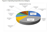 City of Tshwane's operating expenditure budget.