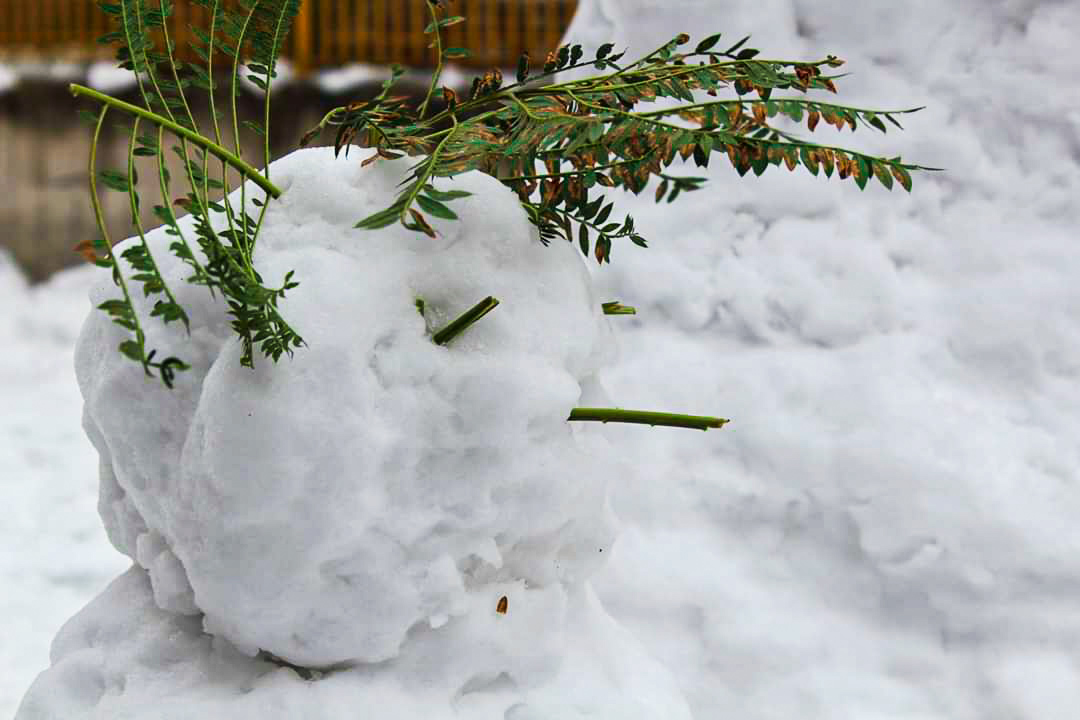 Pupazzo di neve di GiusyWendy