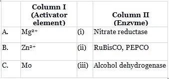 Occurrence and availability of essential elements for plants