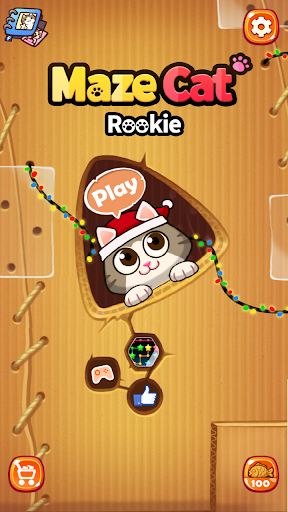 Maze Cat - Rookie