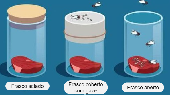 teorias da abiogênese e biogênese