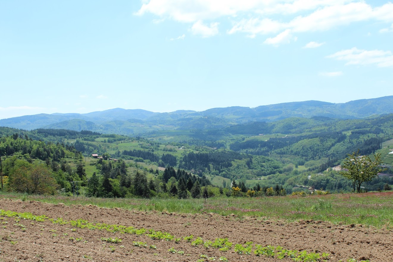 Désaignes, Le sentier des Vignes TGERGnN-KxmDu_v0bZ5bvhutua1GzguapG2KdzT_94XFLTotGDDQEVtaytXQuIR7n1hO__8WFuZ8hsXYZ0RELGrpTZm8s23B6XUikXDx-L9Ym3qxqj_-7OVCRxGXQaoqtdoFNlhBhDtM7D5zUROH8l0MuD0QnMJhULTX86BAV5X638wAx8L7Z4eXdcFDmeq7zNfTpblevSYtivD2KPahX2cHZLgl2jLSb0jDqVXYIx0VXOmQDzII14PyfRwwZuJoGMTnniOTz-j_wM333pjHZIJRrO9m4fwG8oOlfuFa1NWEM0HobE9EJjauLyNXP8gKHmTNzn5hNsUr7351wapVjBTcmhvHHdt4ww0hCqiHqd366F3ZyKCsXVrozechmk0L0DAfzzP_amzXcqCrgyBXy0NOOjjCXqfbkDkEyep1xRP2GmjxcksHHjEEihPfdXWos_zdhuVri_CZXIWYw1sTS9aNLkwxDjJ0TUvO3wGgMfJYJFlr4XtCcMoKB6QCN__QxaBeX9d2M94R-oOPYYbaaTa_nUJA-fWf5scVoGD56UqsEqT0cw9i3-HYaPPWdEKMKBJOwuPkYagM94Ar2qkv_XeLkpS52CPt=w1320-h880-no