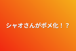 シャオさんがポメ化！？