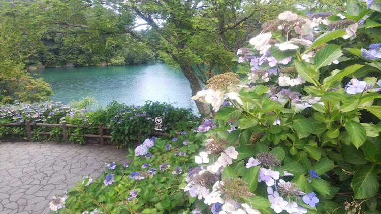 N-ONEの福島県・磐梯吾妻スカイライン・お盆休み・山登り・裏磐梯に関するカスタム事例の投稿画像13枚目
