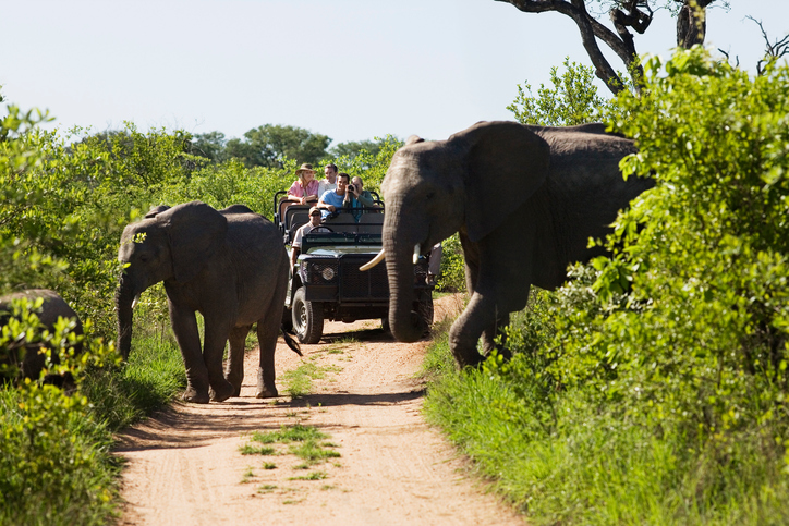 Kruger National Park. File photo.