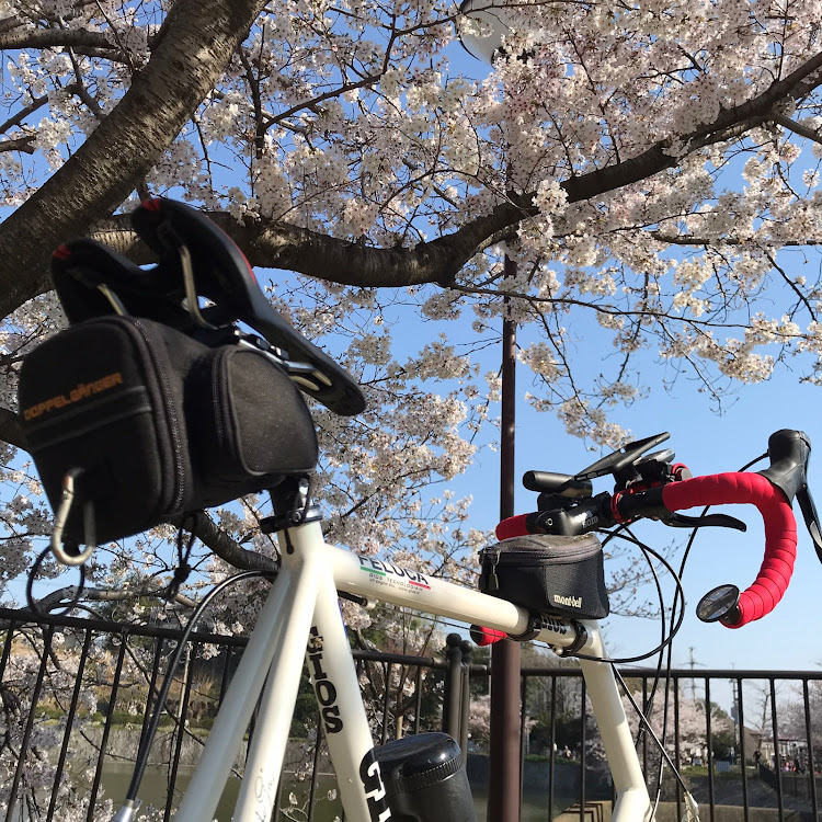 まさひろさんが投稿したセカンドカー？・桜に関するカスタム事例の投稿画像2枚目