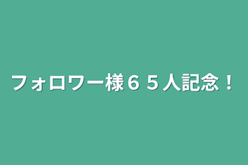 フォロワー様６５人記念！