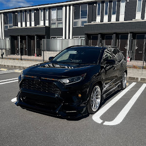 RAV4 AXAH54