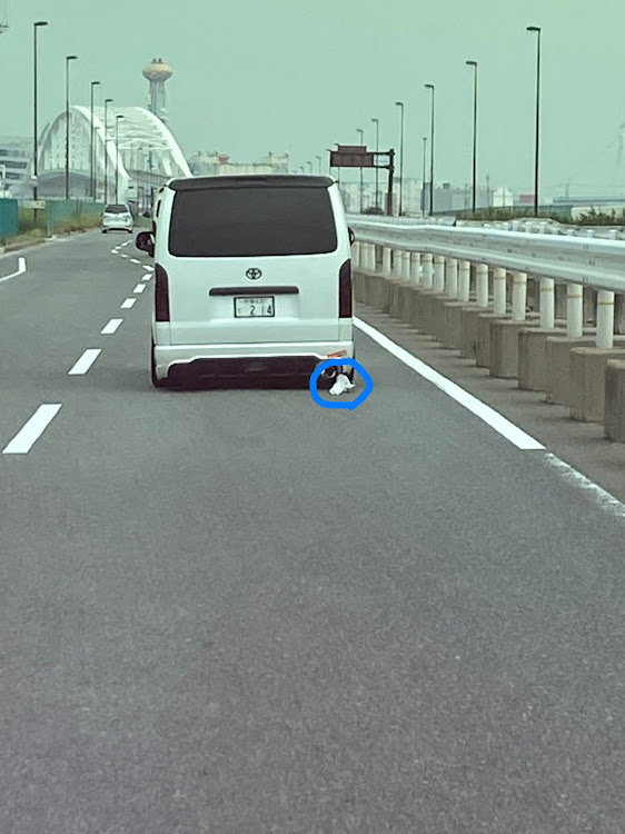 ハイエースバンのSBM2020関西・楽しい奴等🤣・俺の部屋が…😭・くまモンの浣腸に関するカスタム事例の投稿画像6枚目