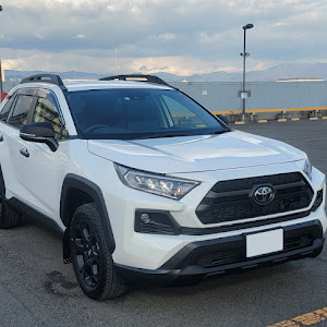 RAV4 MXAA54