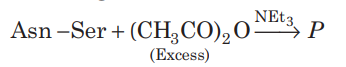 chemical reactions of amines