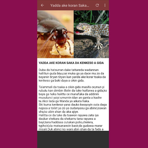 Maganin Basir-Sanyi-Typod  Maleria