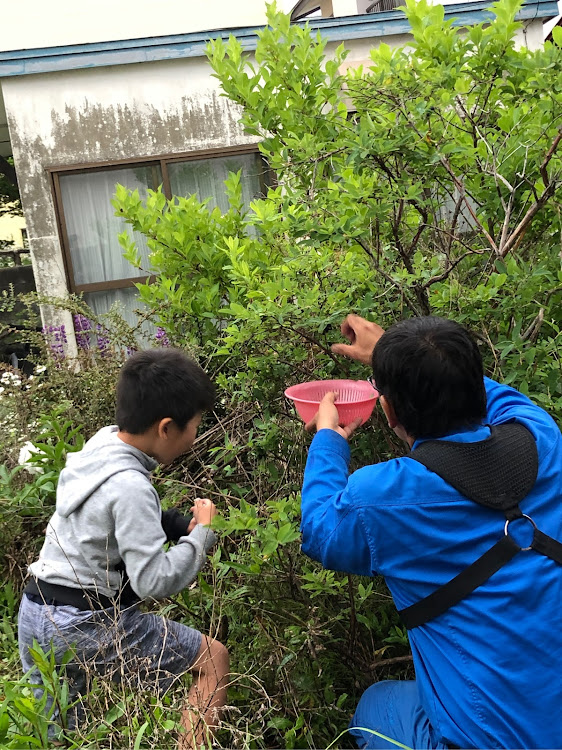 の投稿画像15枚目