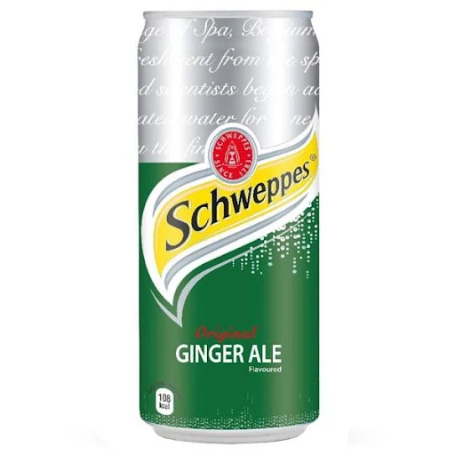 Ginger Ale (300 ml)