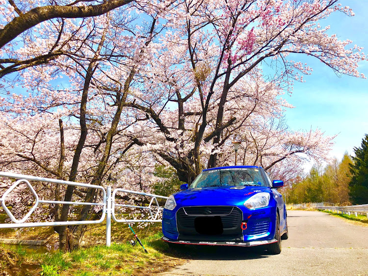 スイフトの桜と愛車・バス釣り・ボウズ・スイフトくん・1年記念に関するカスタム事例の投稿画像1枚目