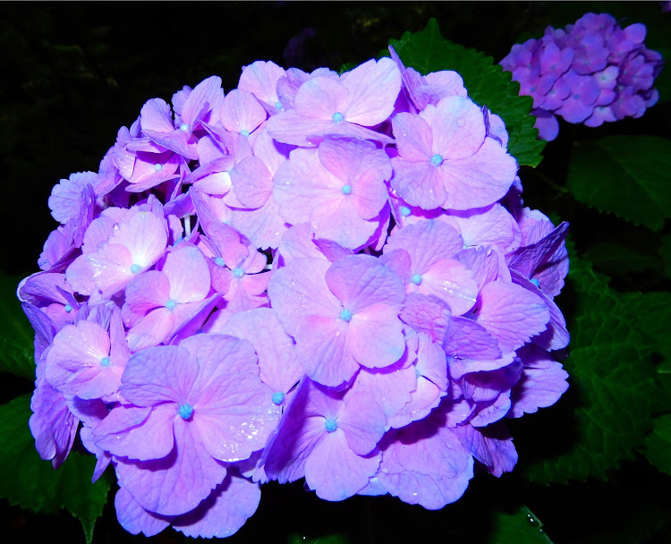 コペンの特に意味はない・国道162号線・コンデジの限界・ドライブ・コラボ募集中に関するカスタム事例の投稿画像8枚目