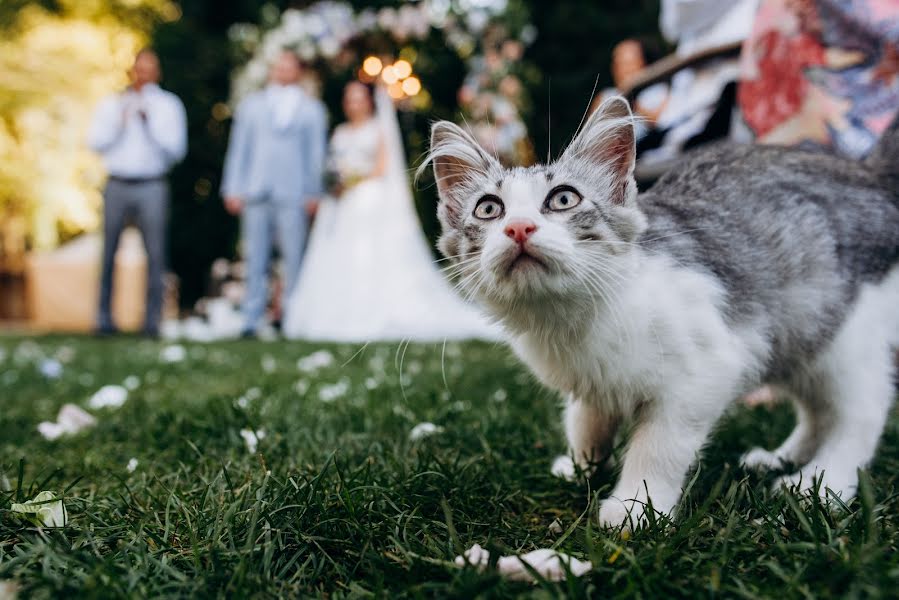 Fotógrafo de bodas Dmitriy Zubkov (zubkov). Foto del 15 de abril 2021